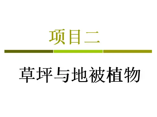 草坪地被.解读