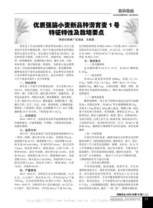 优质强筋小麦新品种滑育麦1 号特征特性及栽培要点