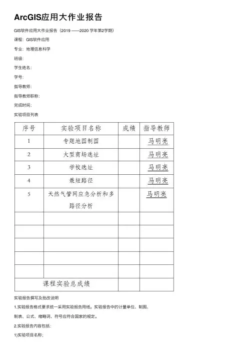 ArcGIS应用大作业报告