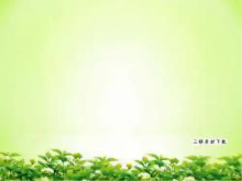 小学语文_17 爱如茉莉教学课件设计