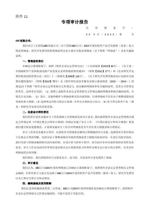 软件企业专项审计报告范本