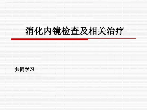 消化内镜检查及相关治疗