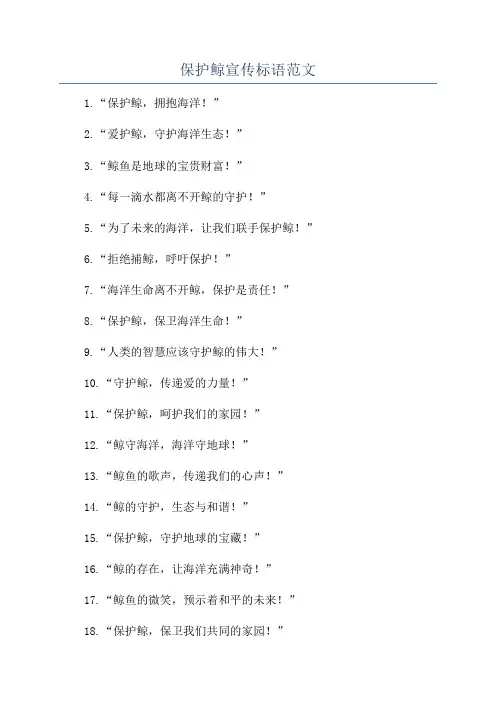 保护鲸宣传标语范文