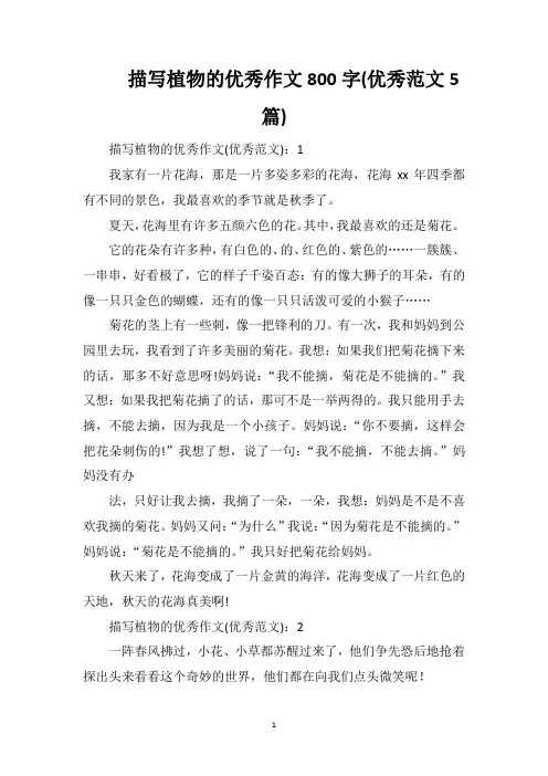 描写植物的优秀作文800字(优秀范文5篇)