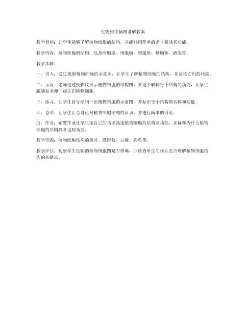 生物初中插图讲解教案