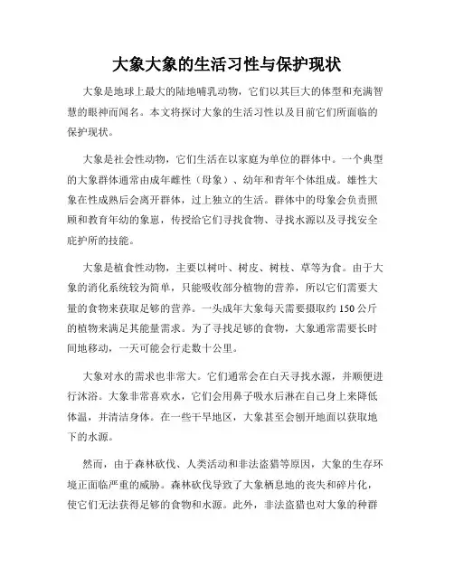 大象大象的生活习性与保护现状