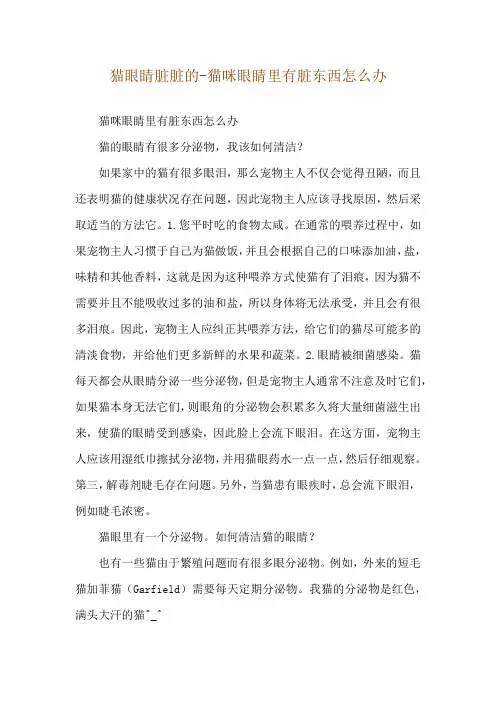 猫眼睛脏脏的-猫咪眼睛里有脏东西怎么办