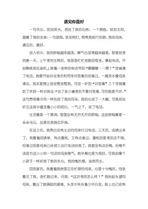 初三作文：遇见你真好作文800字_3
