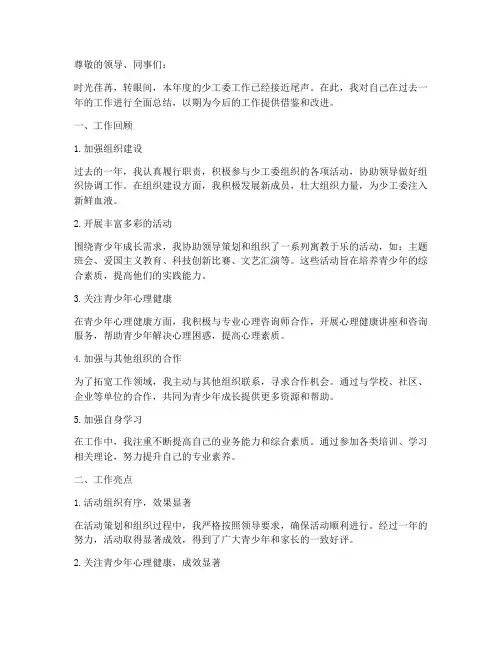 少工委个人工作总结