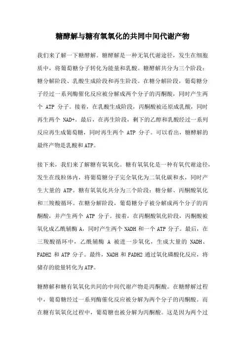 糖酵解与糖有氧氧化的共同中间代谢产物