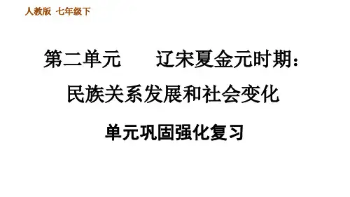 人教部编历史七年级下册第二单元辽宋夏金元时期：民族关系发展和社会变化巩固强化复习
