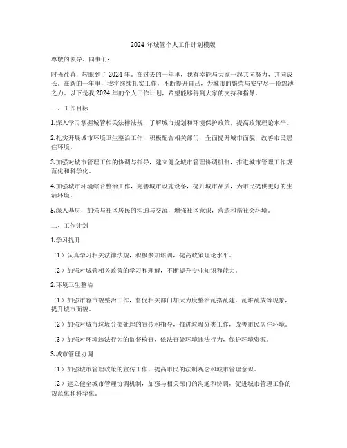 2024年城管个人工作计划模版
