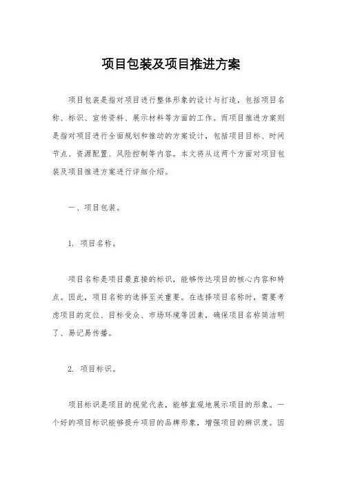 项目包装及项目推进方案