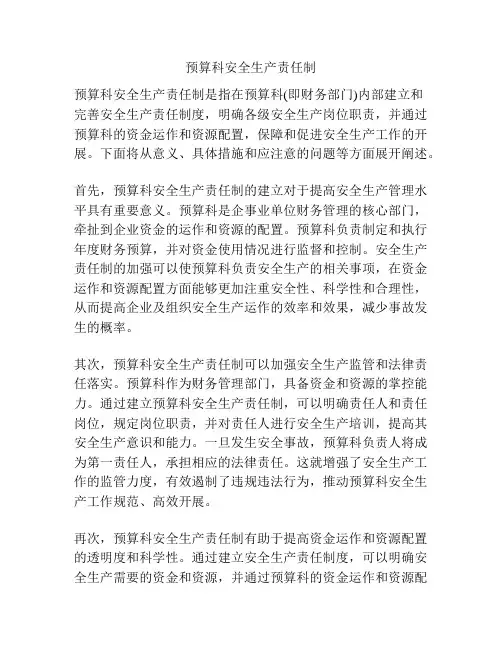 预算科安全生产责任制