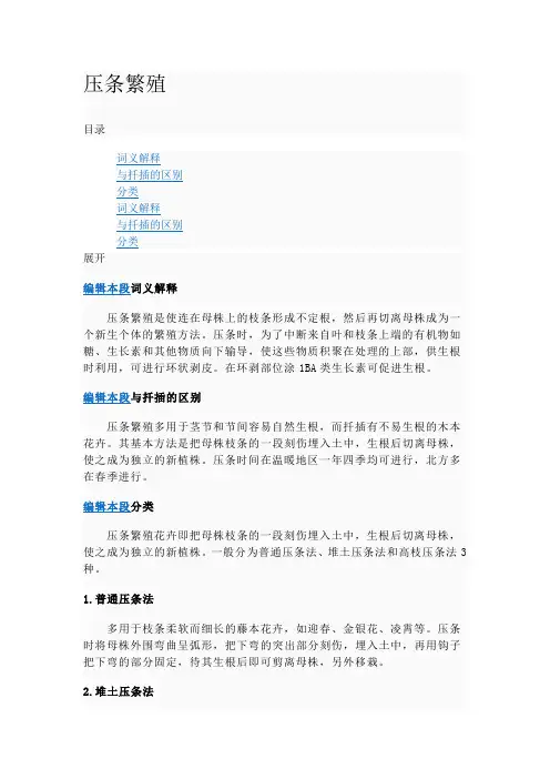 压条繁殖