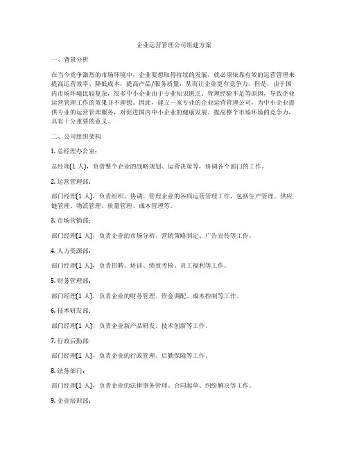 企业运营管理公司组建方案