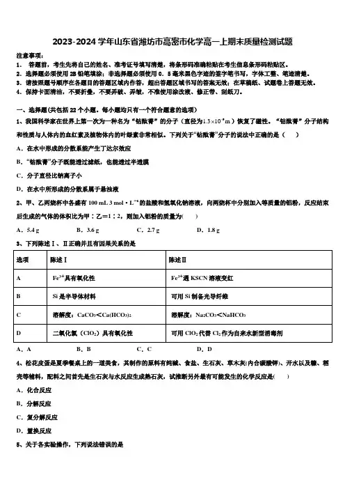 2023-2024学年山东省潍坊市高密市化学高一上期末质量检测试题含解析