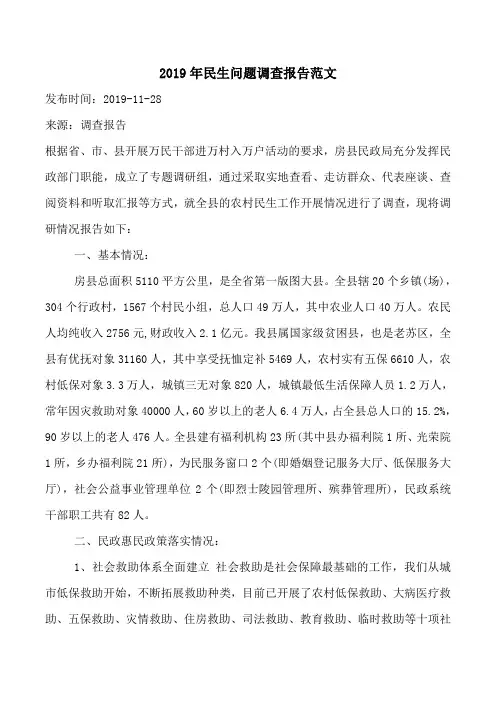 2019年民生问题调查报告范文