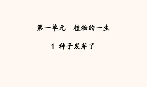 苏教版科学三年级下册第一单元课件(93张ppt)