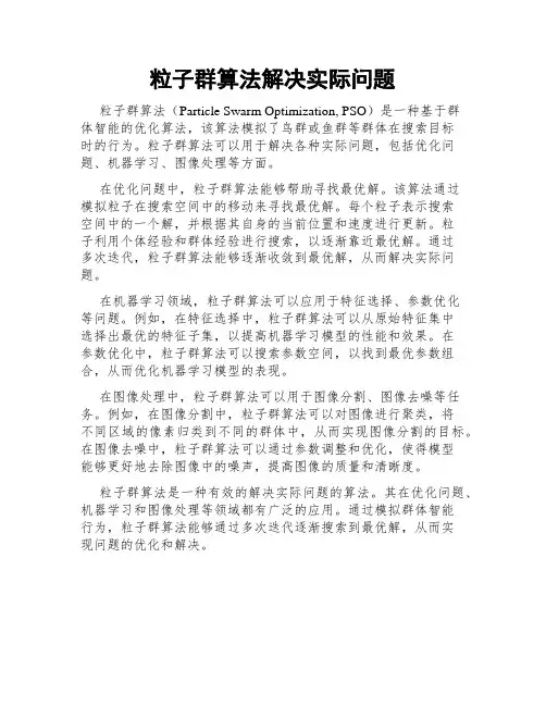 粒子群算法解决实际问题