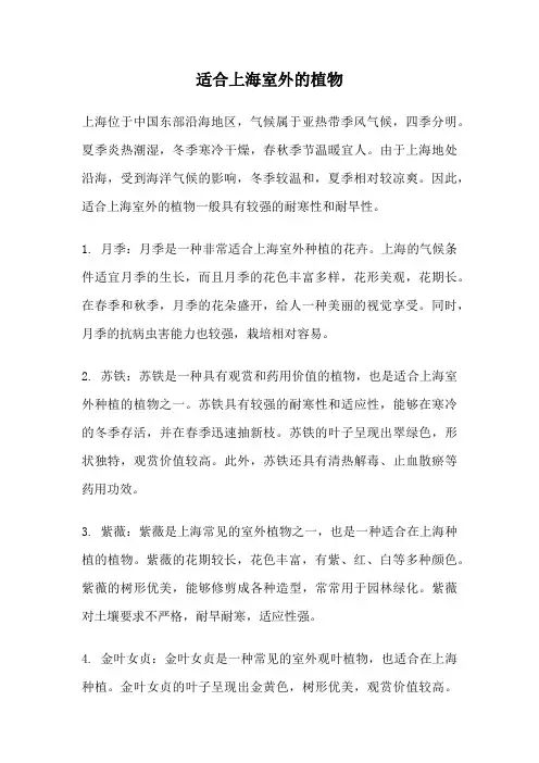 适合上海室外的植物