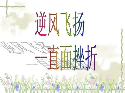 逆风飞扬直面挫折主题班会