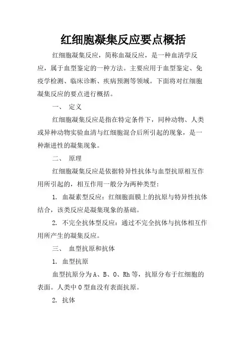 红细胞凝集反应要点概括