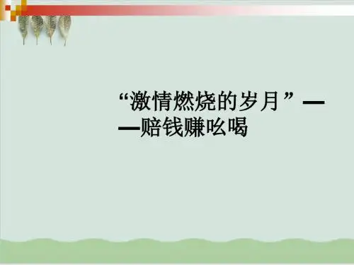 文化市场营销案例-激情燃烧的岁月PPT课件( 33页)