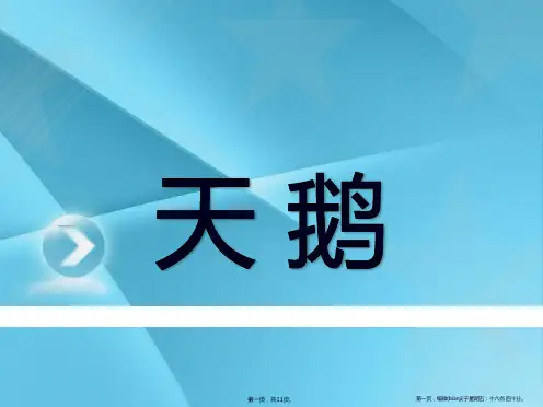 《天鹅》PPT课件2