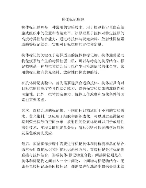 抗体标记原理