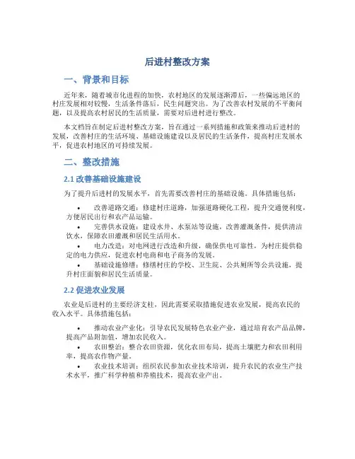 后进村整改方案