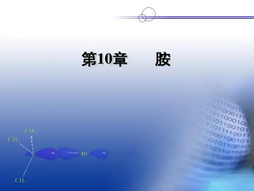 第十章胺类化合物