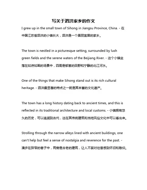 写关于泗洪家乡的作文