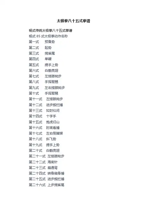 太极拳八十五式拳谱