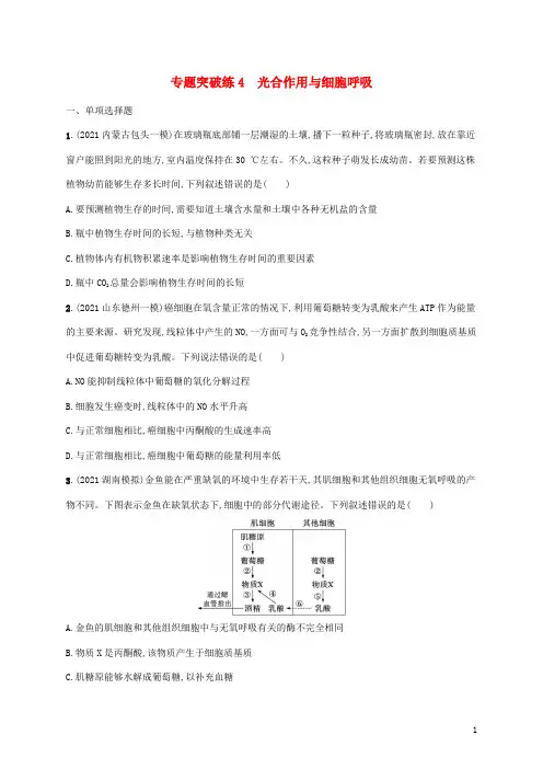 新教材高考生物二轮复习专题突破练4光合作用与细胞呼吸含解析