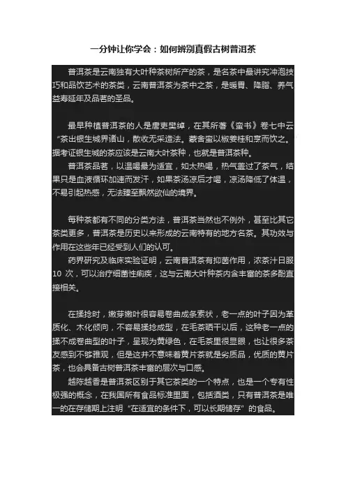 一分钟让你学会：如何辨别真假古树普洱茶