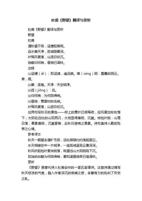 杜甫《野望》翻译与赏析