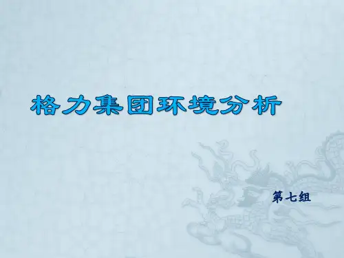 格力集团环境分析报告