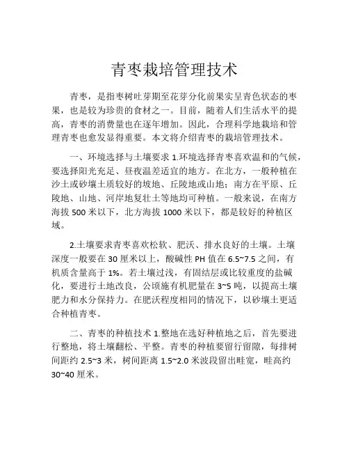 青枣栽培管理技术