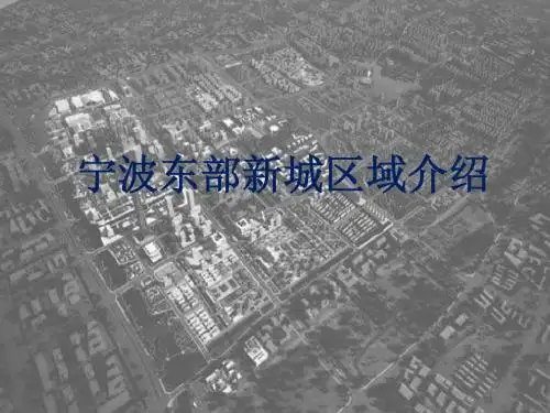 东部新城介绍
