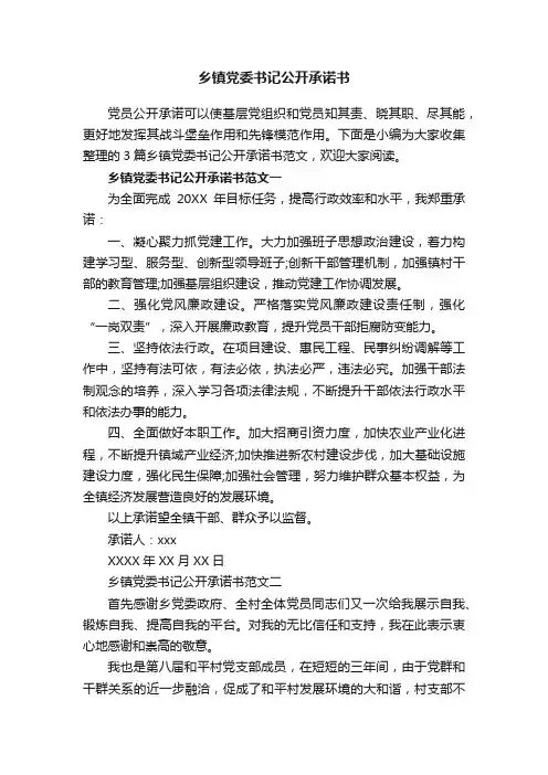 乡镇党委书记公开承诺书