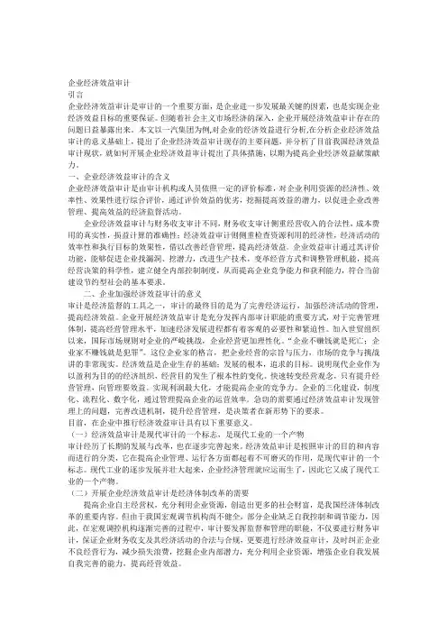 企业经济效益审计