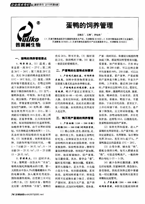 蛋鸭的饲养管理