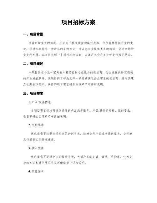项目招标方案