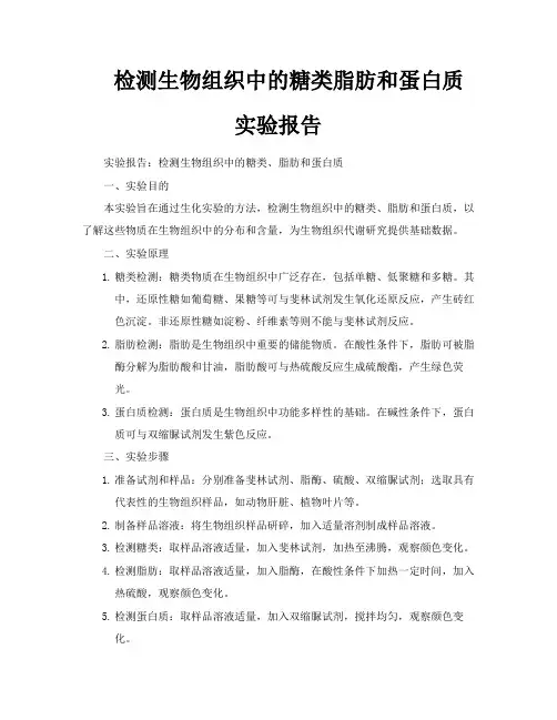 检测生物组织中的糖类脂肪和蛋白质实验报告