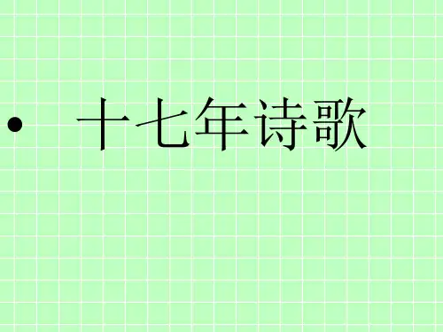 十七年诗歌概述(简史)(周水涛)