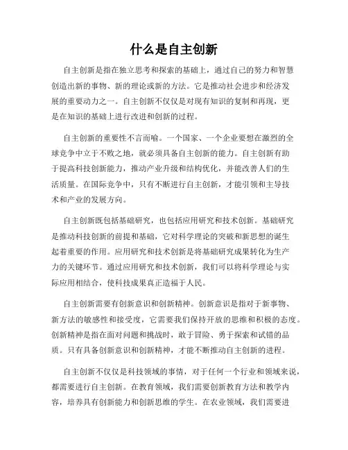 什么是自主创新