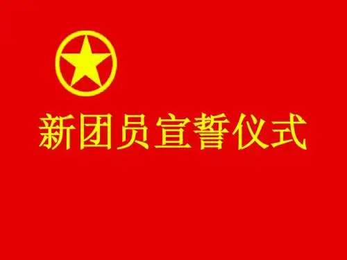 新团员宣誓