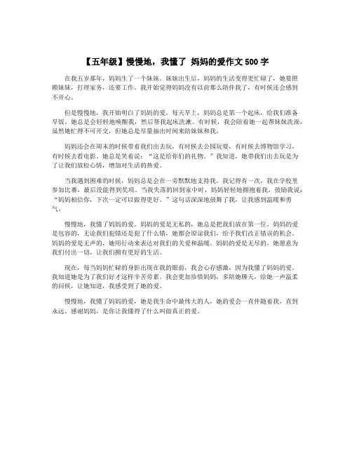 【五年级】慢慢地,我懂了 妈妈的爱作文500字