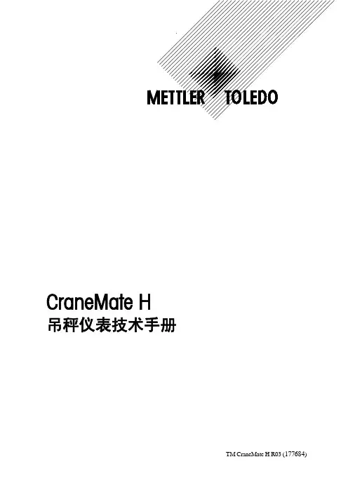 使用说明书CRANEMATE H仪表_177684_r3